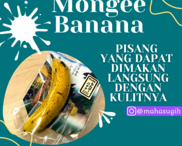 Yuk makan pisang dengan kulitnya, Mongee Banana