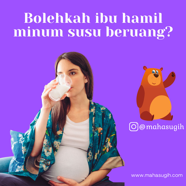 ibu hamil minum susu beruang