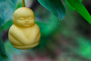 Buah pir termahal dunia berbentuk Buddha