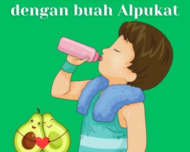5 Manfaat buah Alpukat untuk sehat maksimal
